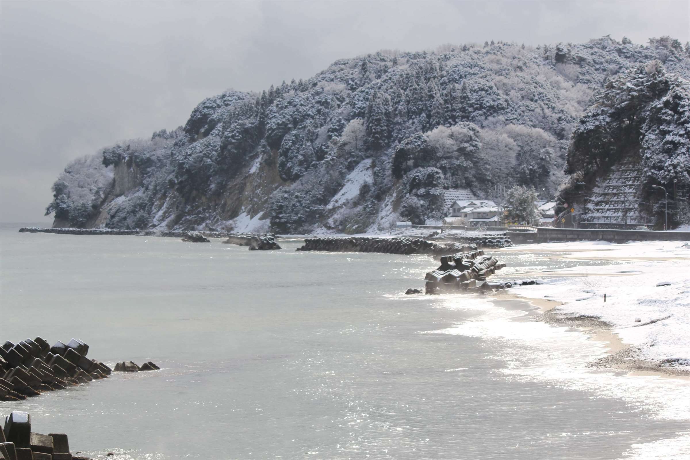 雪景色の海岸、雪に覆われた崖と砂浜