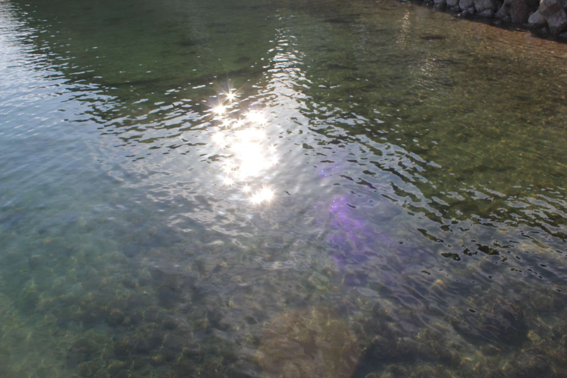 太陽が反射して輝く透き通った海の水面