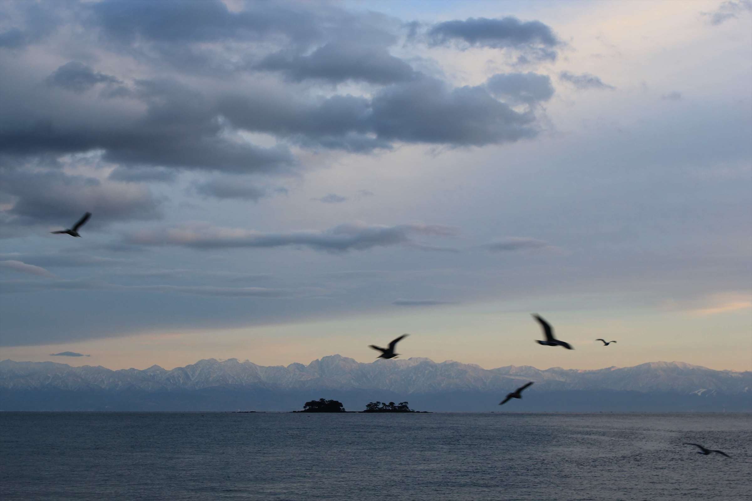 夕暮れの海を飛ぶカモメたちと立山連峰・小島のシルエット