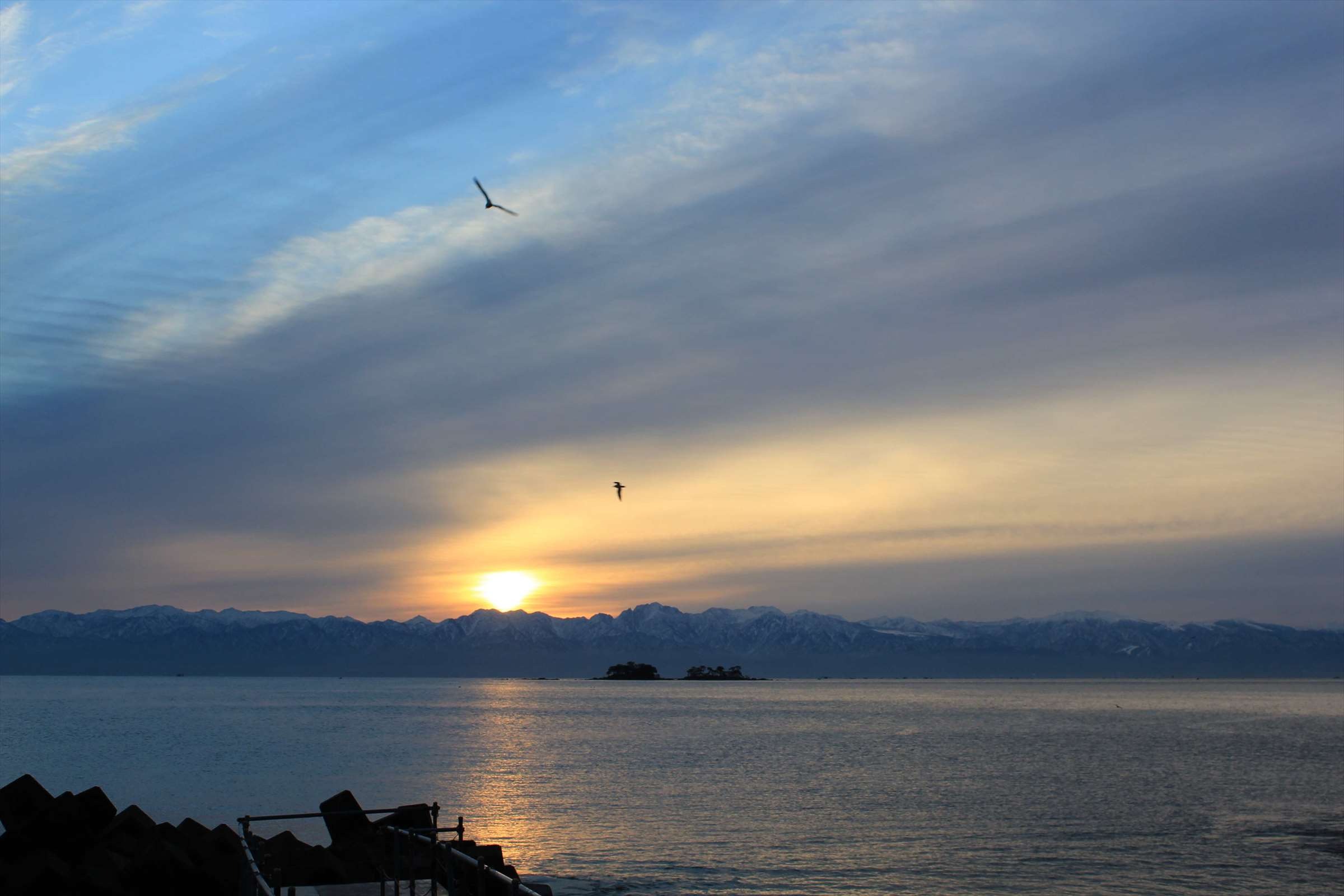 夕日に飛ぶカモメと立山連峰・小島のシルエット