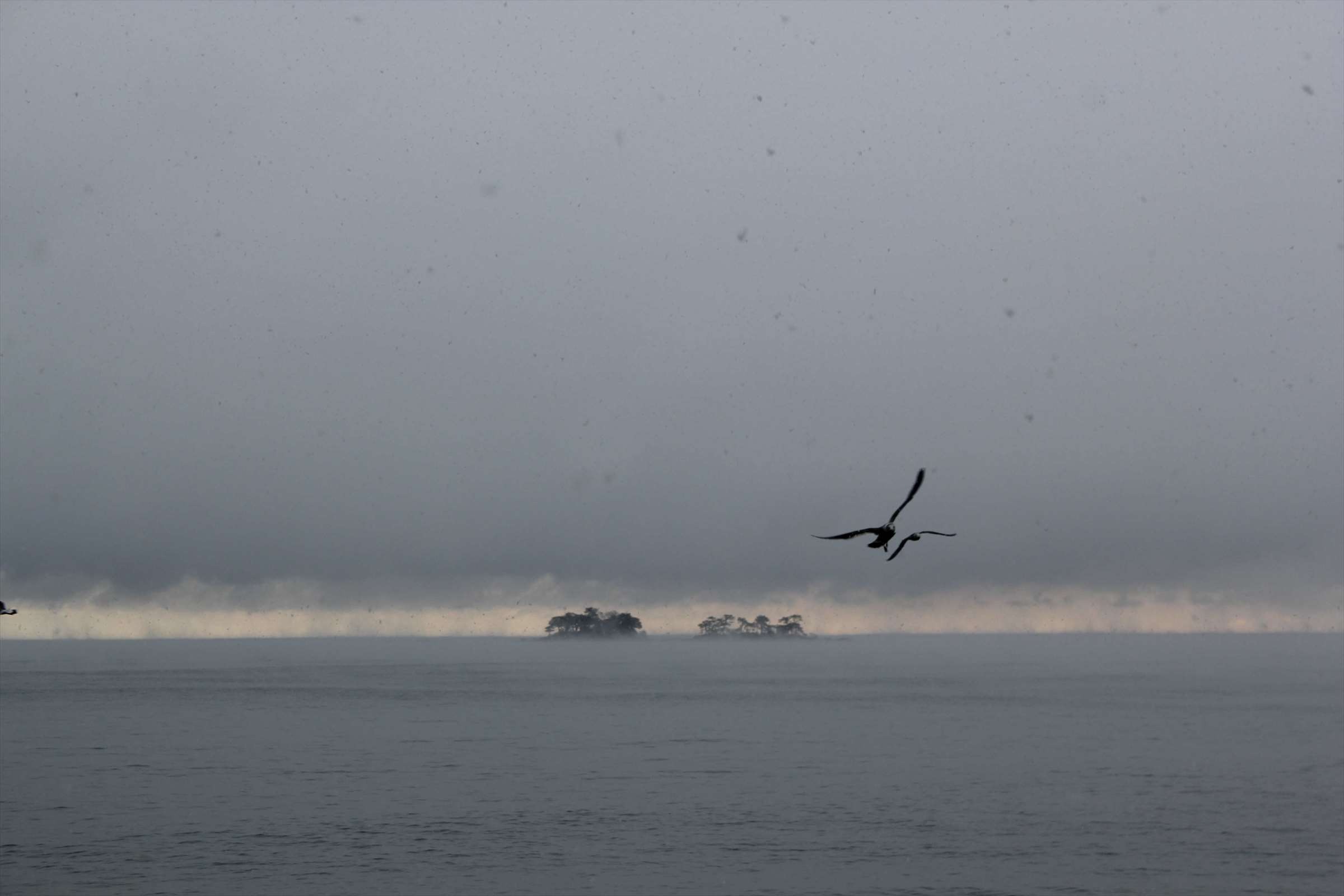 霧の朝に飛ぶ水鳥と小島のシルエット、富山湾