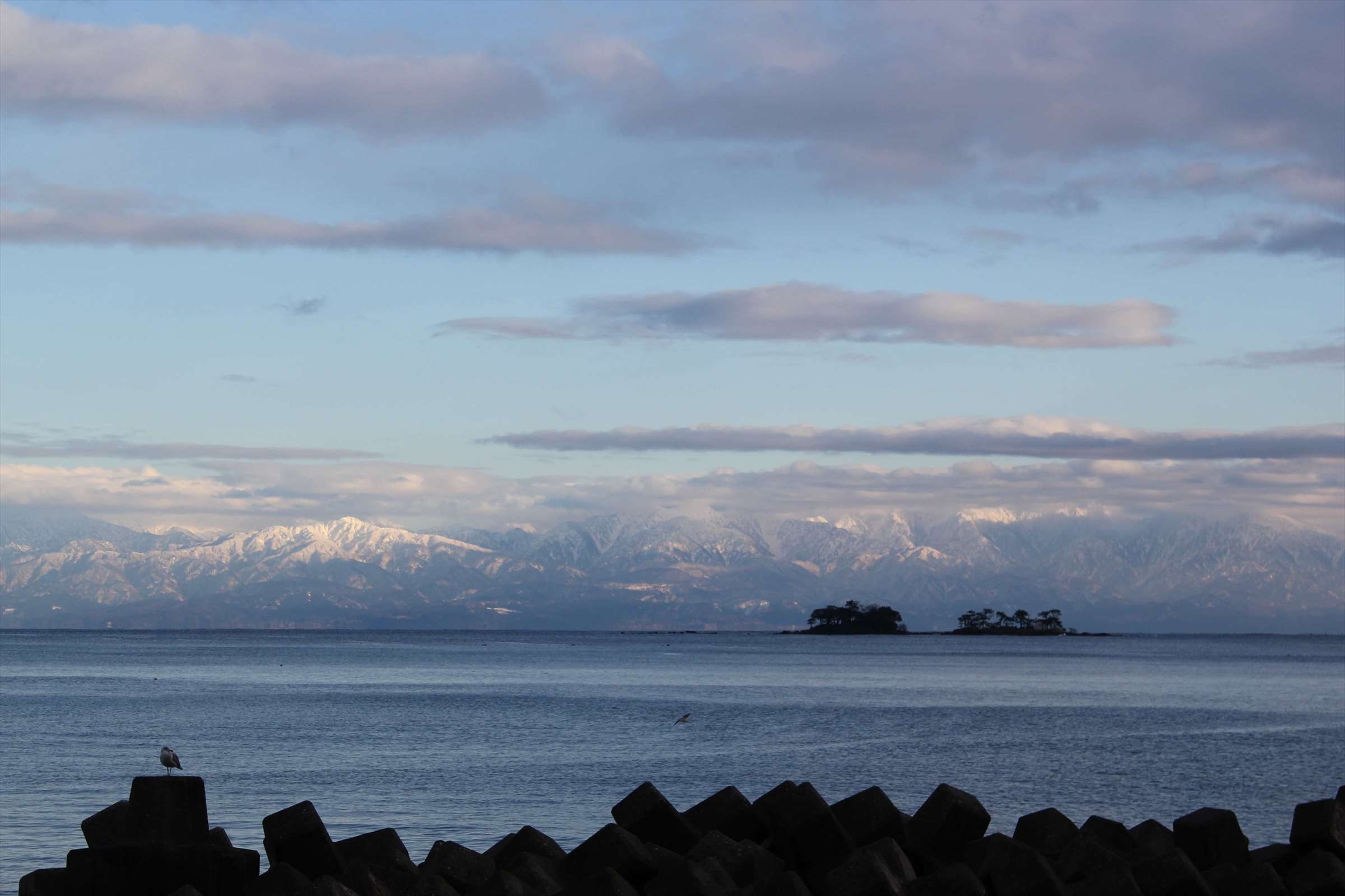 立山連峰と小島、テトラポッドにサギが佇む富山湾