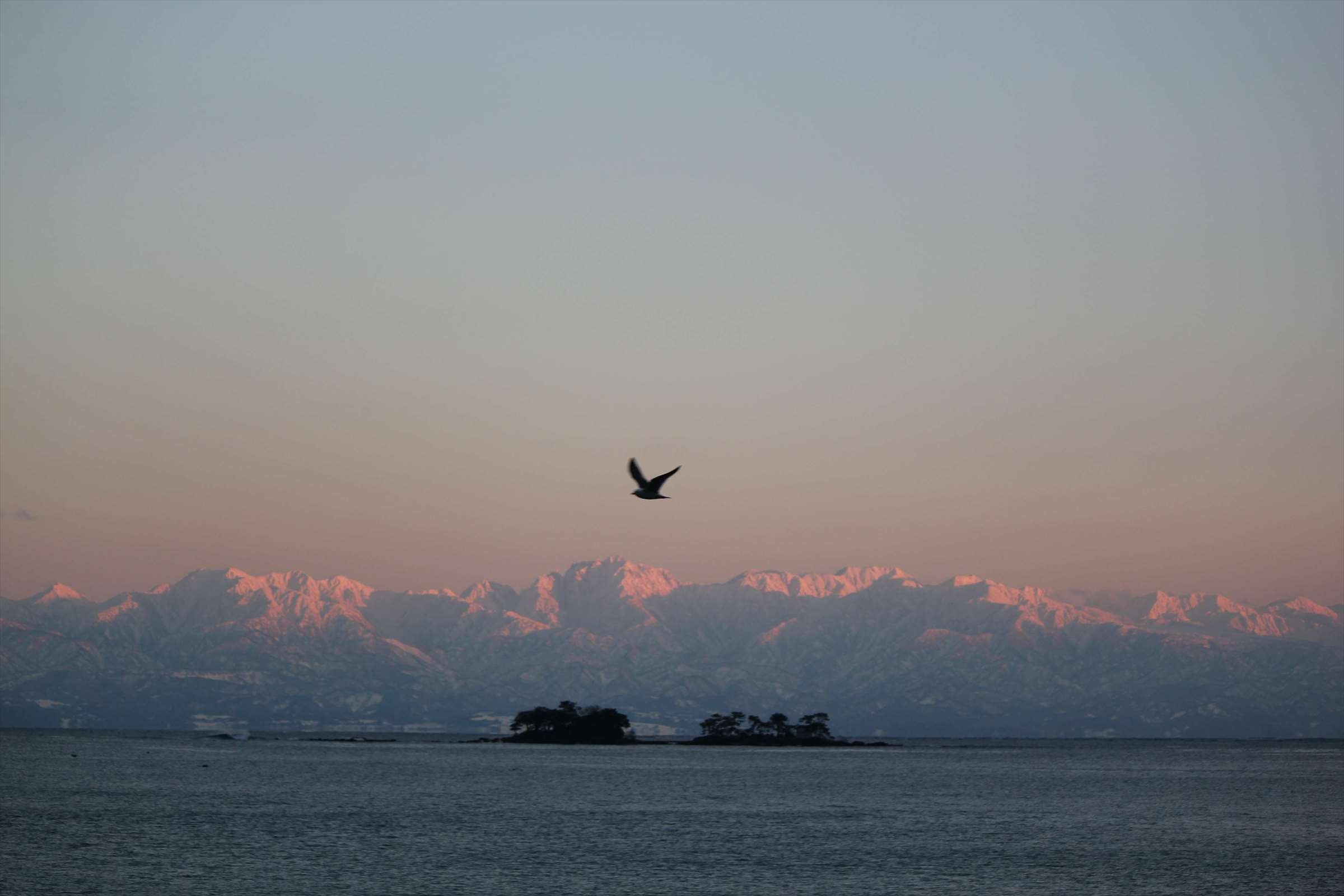 夕暮れの立山連峰に飛ぶ鳥と小島のシルエット