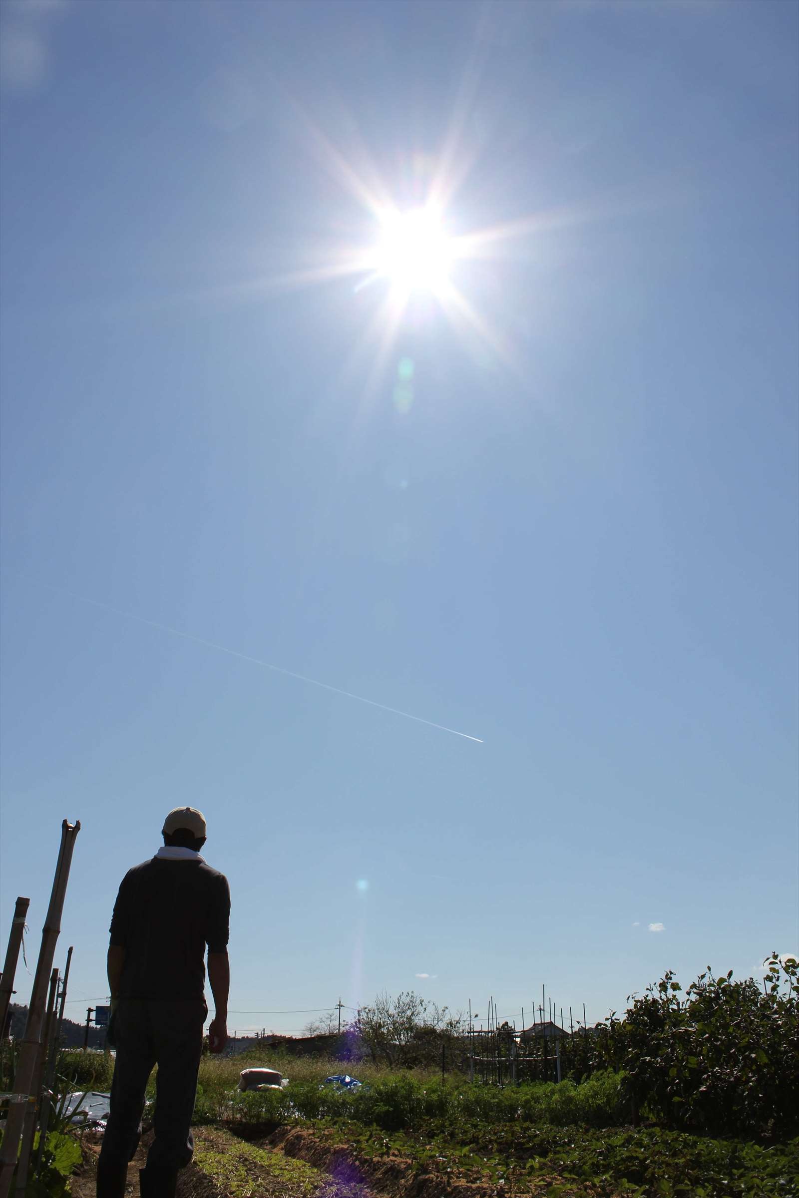 逆光の太陽の下、畑に立つ人のシルエット